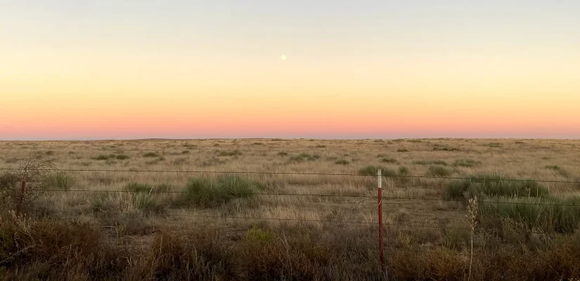 Sunset over the cattle yard